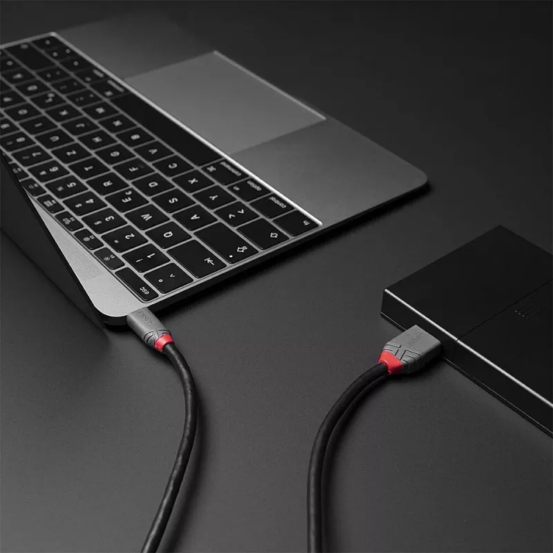 Lindy 3 m USB 3.2 Type C to Micro-B laidas, Anthra Line, 3 m, USB C, Micro-USB B, USB 3.2 Gen 1 (3.1 Gen 1), Juoda