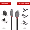 Lindy 3 m USB 3.2 Type C to Micro-B laidas, Anthra Line, 3 m, USB C, Micro-USB B, USB 3.2 Gen 1 (3.1 Gen 1), Juoda