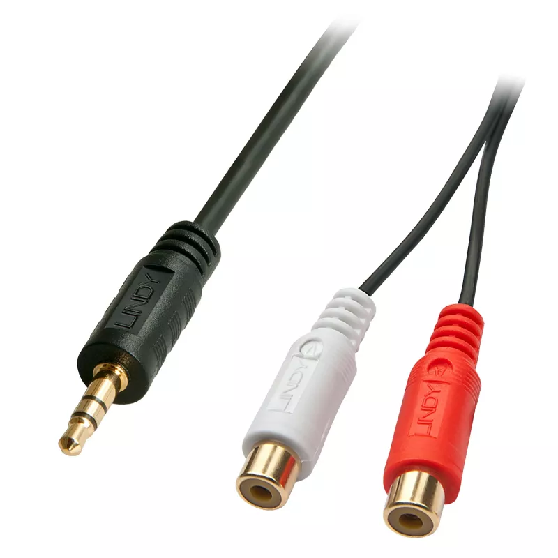 Lindy 0,25 m AV adapterio kabelis - 3,5 mm kištukas į 2 x RCA lizdą