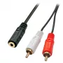 Lindy 0,25 m garso adapterio kabelis – 3,5 mm lizdas į 2 x RCA kištuką