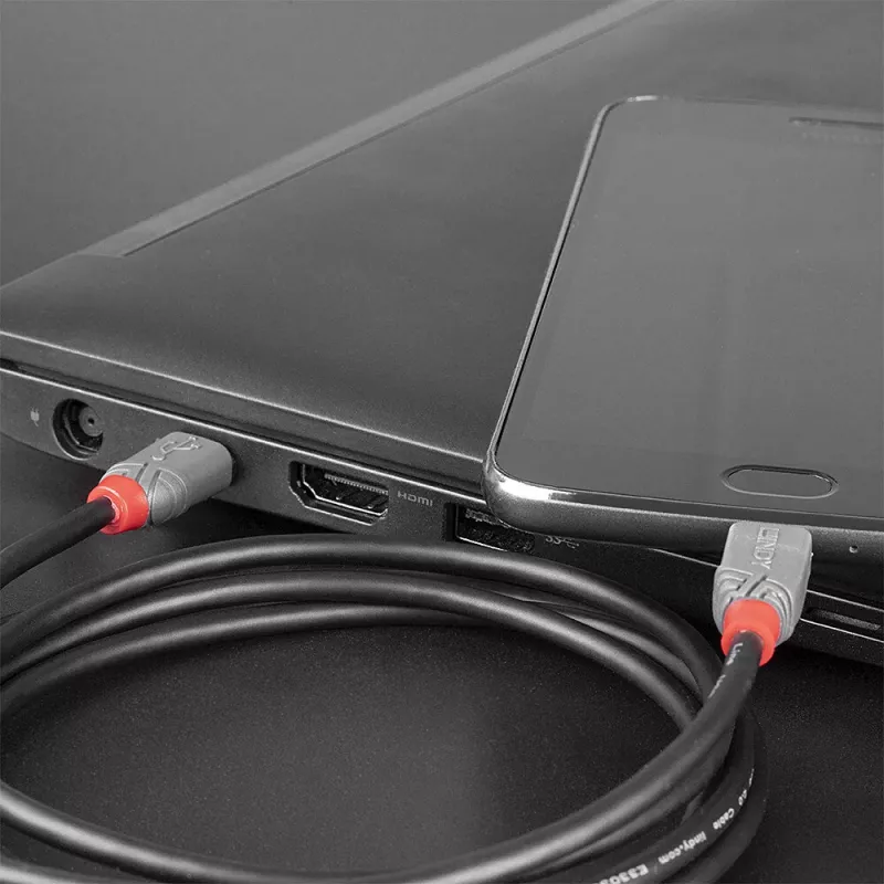 Lindy 3 m USB 2.0 Type C į Micro-B kabelis, Anthra Line
