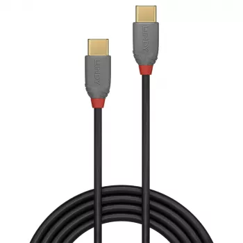 Lindy 3m USB 2.0 Type C į C kabelis, Anthra Line