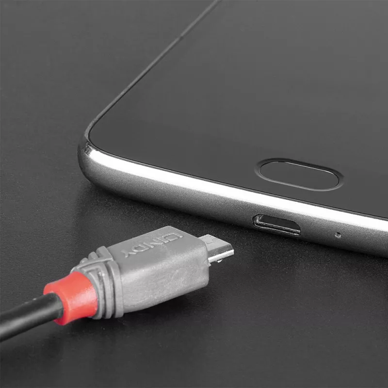 Lindy 2 m USB 2.0 Type C į Micro-B kabelis, Anthra Line