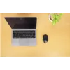 Belaidė pelė Manhattan MW6020 USB