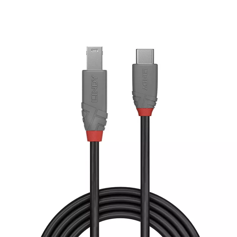 Lindy 0,5 m USB 3.2 Type C – B laidas, 5 Gb/s, juodas