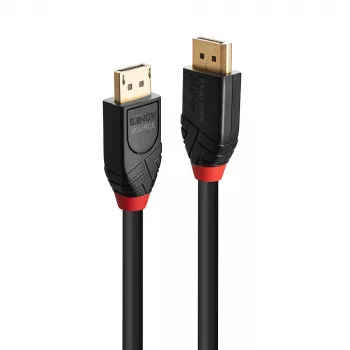 DisplayPort laidas Lindy 10 m aktyvus DisplayPort 1.4 laidas