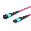 Lanview LVO230402-MTP InfiniBand / šviesolaidinis kabelis 2 m violetinis