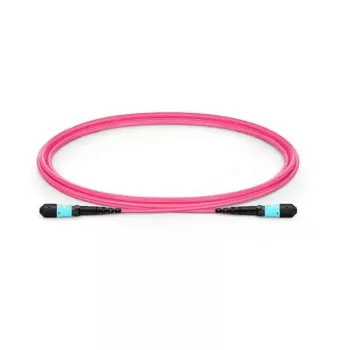 Lanview LVO230402-MTP InfiniBand / šviesolaidinis kabelis 2 m violetinis