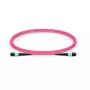 Lanview LVO230402-MTP InfiniBand / šviesolaidinis kabelis 2 m violetinis