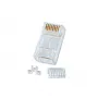 Lindy neekranuota RJ-45 kištukinė jungtis, 8 kontaktų CAT6, pakuotėje 10 vnt.