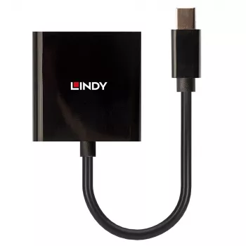Lindy Mini DisplayPort–DVI aktyvus keitiklis 0,16 m, juodas
