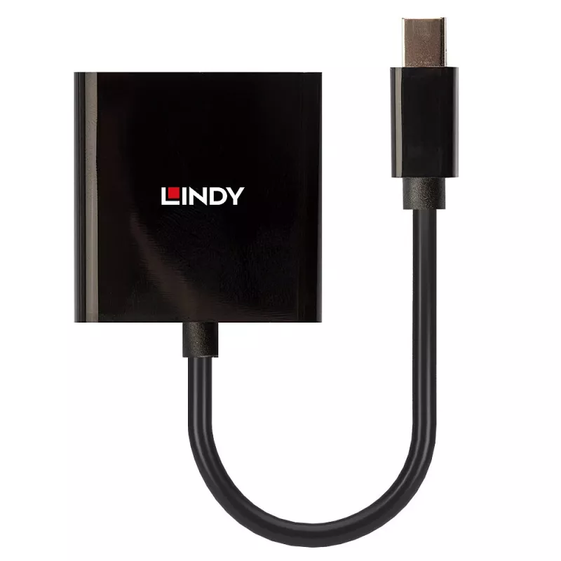 Lindy Mini DisplayPort–DVI aktyvus keitiklis 0,16 m, juodas