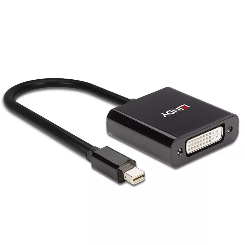 Lindy Mini DisplayPort–DVI aktyvus keitiklis 0,16 m, juodas