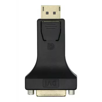 DisplayPort į DVI-I adapteris ProXtend DP1.2-DVI245