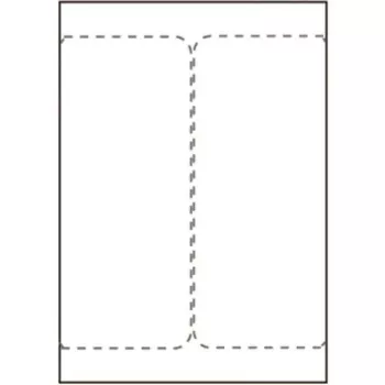 Spausdintuvo etiketė „Capture SHIPLABEL105X220-I2P“ didelio patvarumo