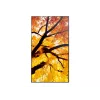 Sharp MultiSync M432 Skaitmeninės reklamos plokščiaekranis 108 cm (42.5 col.) LCD 550 cd/m² 4K Ultra HD Juoda