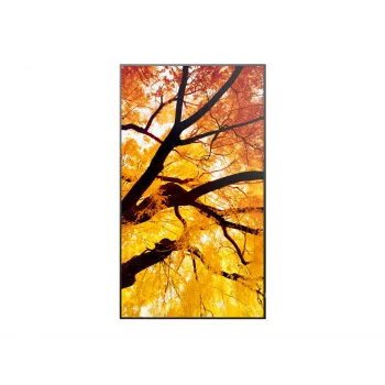 Sharp MultiSync PN-M982 Interaktyvus plokščiasis ekranas 2,48 m (97,5 colio) LED 550 cd/m² 4K Ultra HD Juoda 24/7