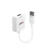 Lindy HDMI 1.4 į DisplayPort 1.1 keitiklis