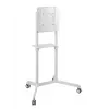 Vivolink VLFS3770 TV laikiklis / stovas 177,8 cm (70 colių) baltas