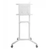 Vivolink VLFS3770 TV laikiklis / stovas 177,8 cm (70 colių) baltas