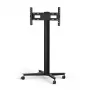 Monitoriaus stovas SMS Smart Media Solutions K12-025-EU-1 190,5 cm juoda