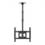 Ernitec 0070-11000-1MON monitoriaus tvirtinimo priedas