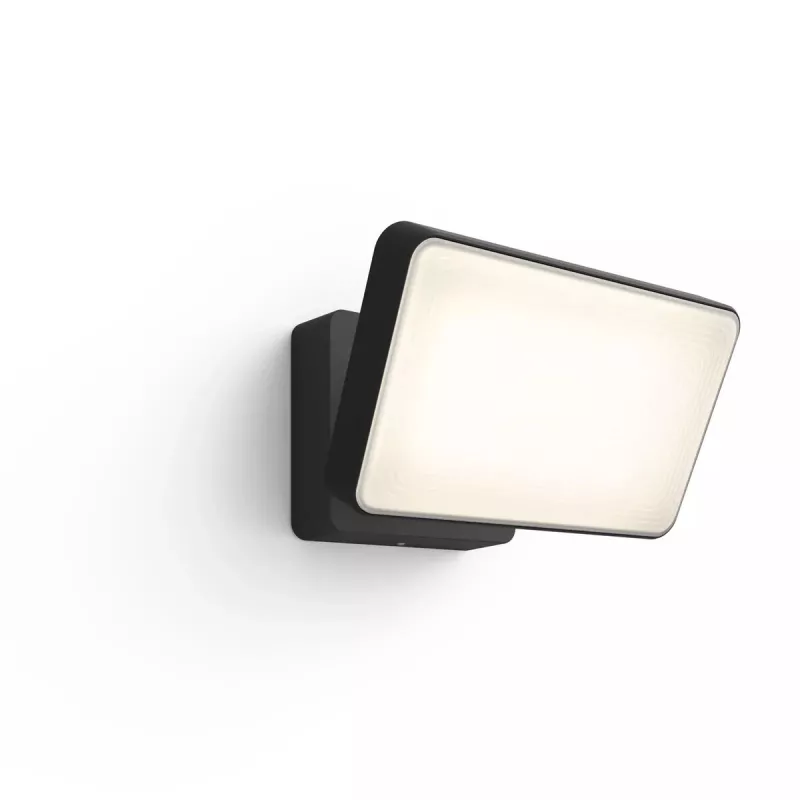 Išmanus lauko sieninis šviestuvas Philips Hue White Welcome Floodlight, 20,5 W LED, 220–240 V įėjimas, 24 V lemputė, juodas, 160×220×153 mm