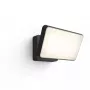 Išmanus lauko sieninis šviestuvas Philips Hue White Welcome Floodlight, 20,5 W LED, 220–240 V įėjimas, 24 V lemputė, juodas, 160×220×153 mm