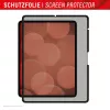 Displex TABLET PRIVACY SAFE nuimamas dvipusis privatumo filtras, skirtas iPad Pro 13 colių/Air 13 colių (2024/2025)