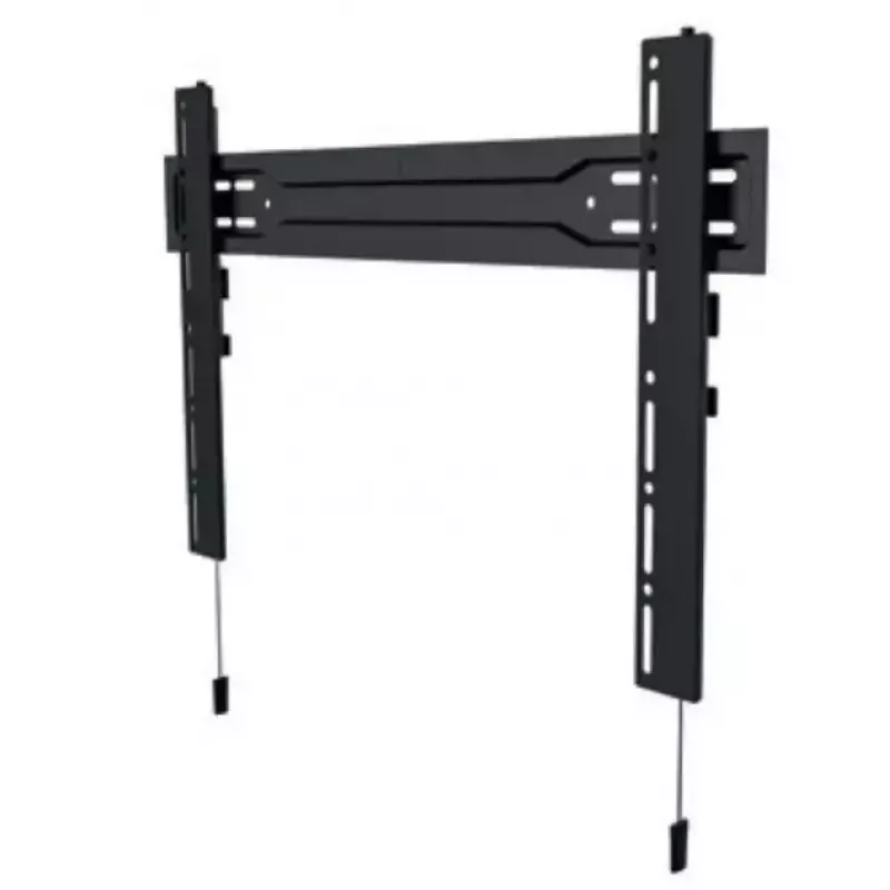 Wall Mount Hagor BL Superslim 400 55 inch