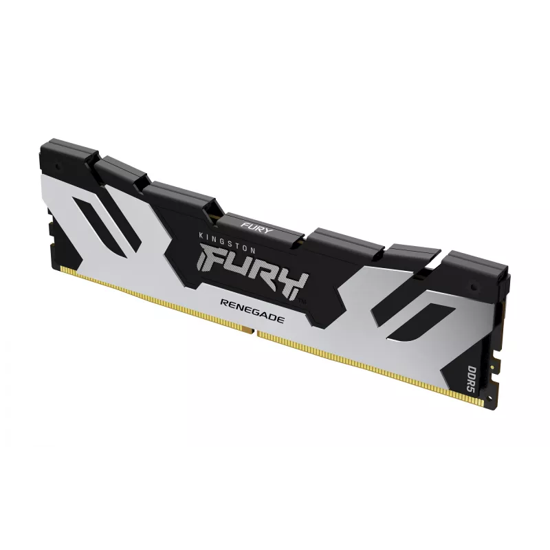 Kingston Technology FURY 24GB 7200MT/s DDR5 CL38 DIMM Renegade Sidabrinė XMP