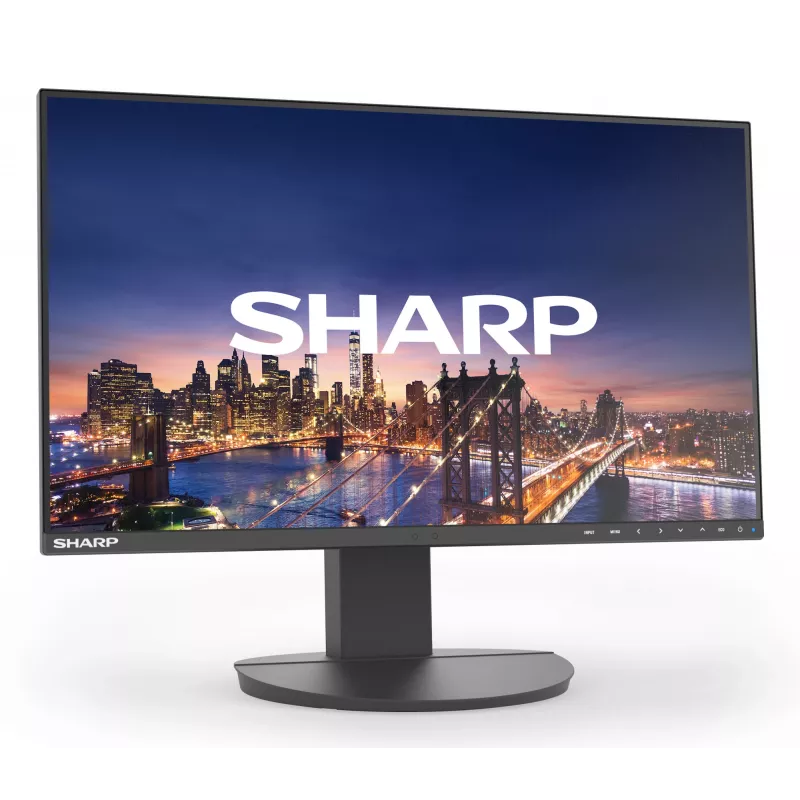Sharp MultiSync EA241F kompiuterio monitorius 61 cm (24 colių) 1920 x 1080 pikselių Full HD LCD juodas