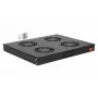 Equip Cooling Fans 19', 1U, 4FANS, RAL9005 Juoda