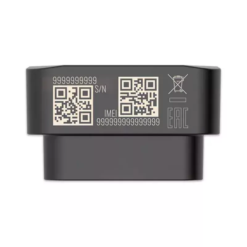 GPS seklys Teltonika FMB020 Automobilinis Juodas Atsparus dulkėms 0.128GB