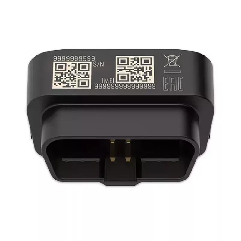 GPS seklys Teltonika FMB020 Automobilinis Juodas Atsparus dulkėms 0.128GB