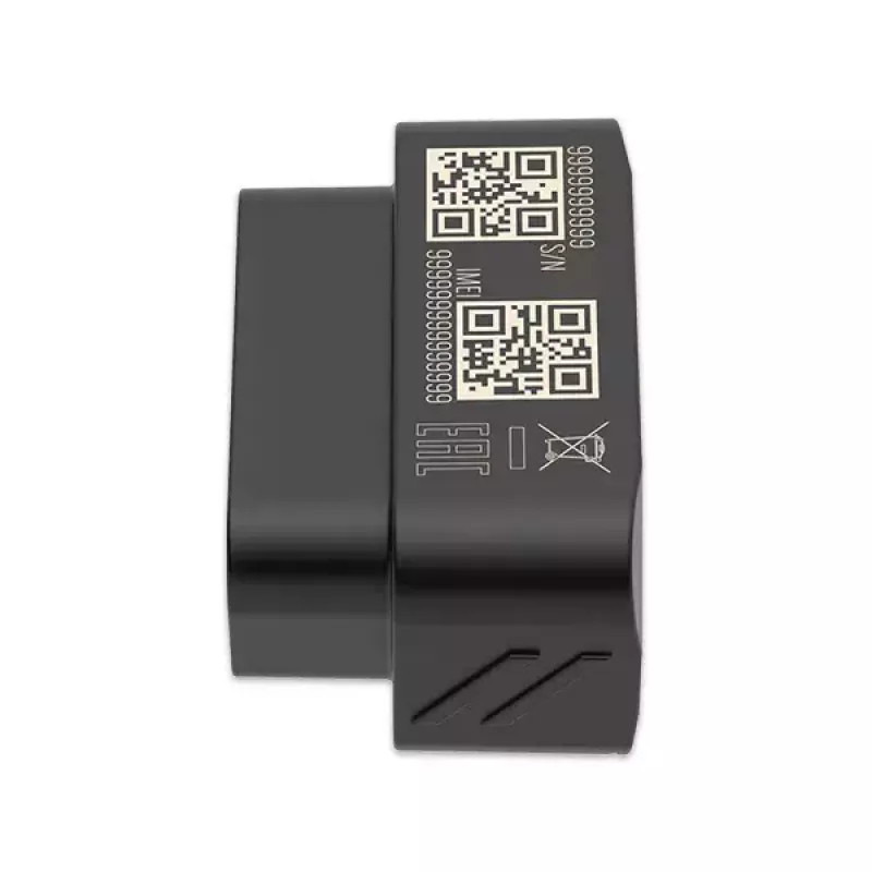 GPS seklys Teltonika FMB020 Automobilinis Juodas Atsparus dulkėms 0.128GB