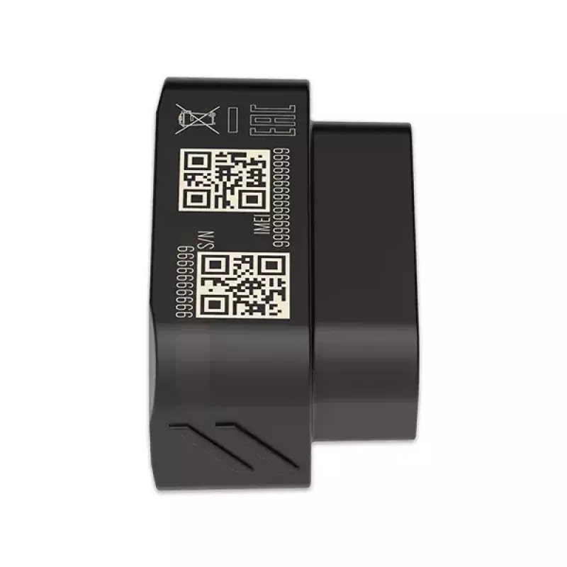 GPS seklys Teltonika FMB020 Automobilinis Juodas Atsparus dulkėms 0.128GB