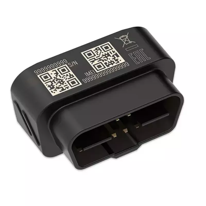 GPS seklys Teltonika FMB020 Automobilinis Juodas Atsparus dulkėms 0.128GB