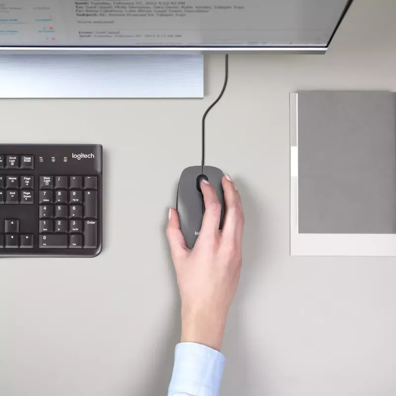Pelė Logitech M100 USB Type-A