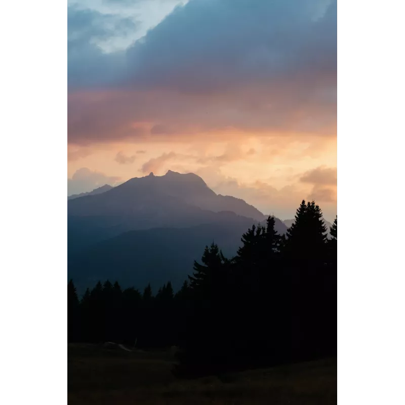 Veidrodinis fotoaparatas Canon EOS R6 Mark II (MILC korpusas) – 24,2 MP, CMOS, 4K vaizdo įrašas, 3 colių jutiklinis ekranas, „Wi‑Fi“, 1/8000 s užrakto greitis, 0,588 kg, juodos spalvos