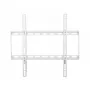 Techly ICA-PLB-162MW TV laikiklis/stovas 139,7 cm (55 col.) Baltas