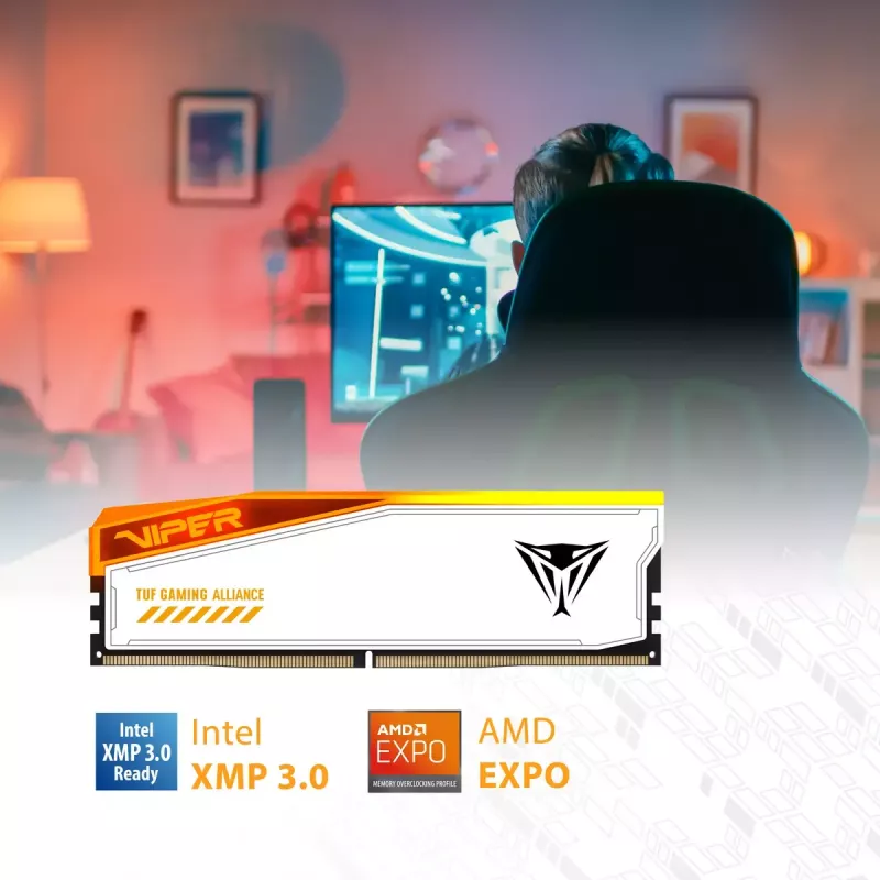 Atminties modulis Patriot Memory Viper Elite 5 DDR5 48 GB 6600 MHz