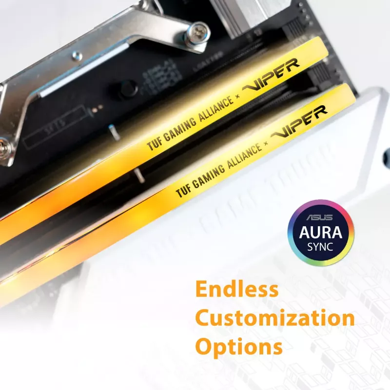 Atminties modulis Patriot Memory Viper Elite 5 DDR5 48 GB 6600 MHz