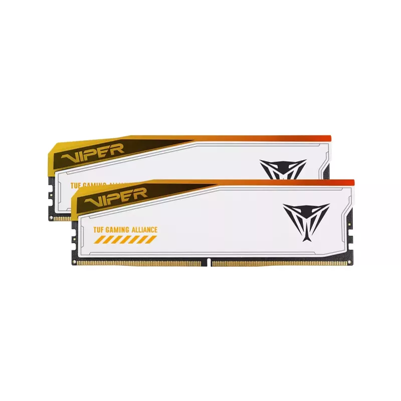 Atminties modulis Patriot Memory Viper Elite 5 DDR5 48 GB 6600 MHz