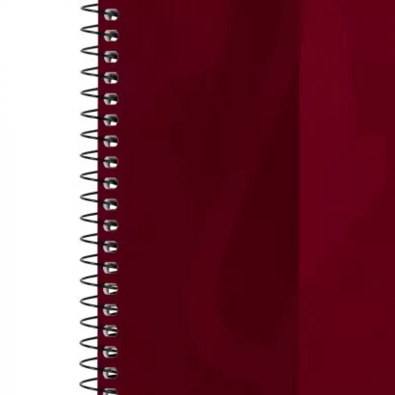 Rašomasis bloknotas Oxford 100050355 A4 80 lapų Bordo