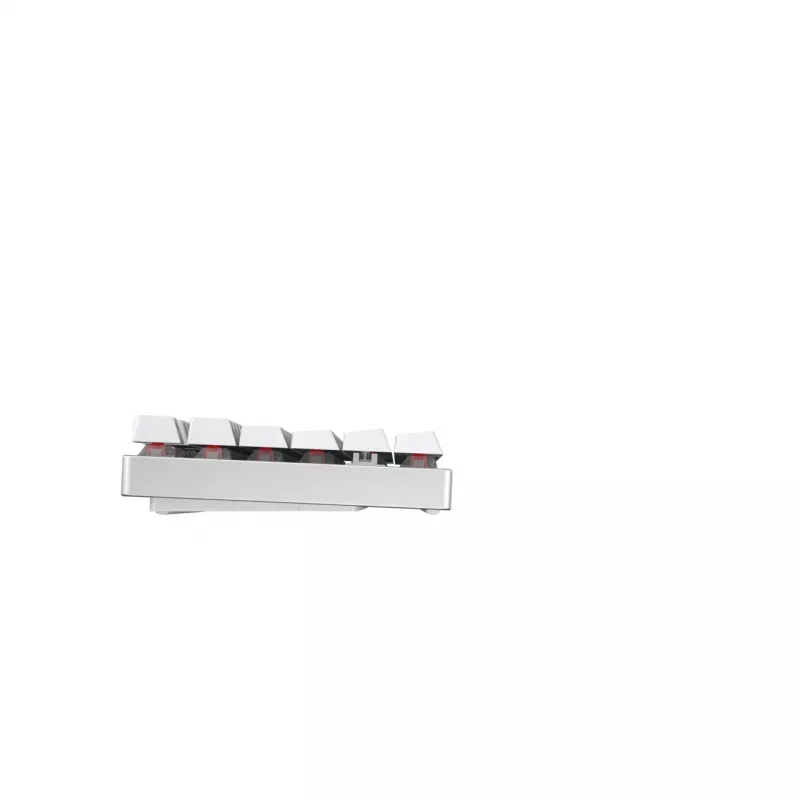 CHERRY MX 8.2 TKL Wireless RGB klaviatūra, skirta žaidimams, RF belaidė + Bluetooth, QWERTZ, vokiška, balta