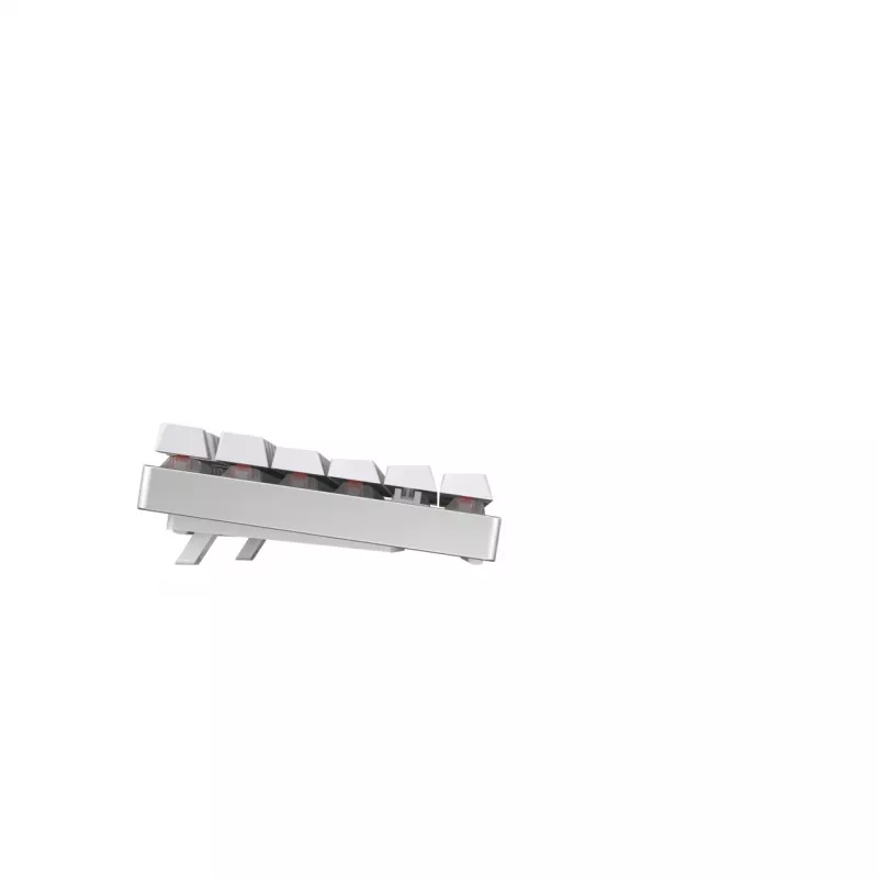 CHERRY MX 8.2 TKL Wireless RGB klaviatūra, skirta žaidimams, RF belaidė + Bluetooth, QWERTZ, vokiška, balta