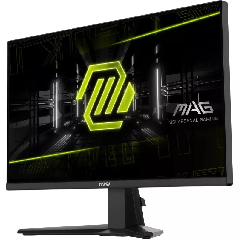 MSI MAG 255XF kompiuterio monitorius 62,2 cm (24,5 colio) 1920 x 1080 pikselių Full HD juodas