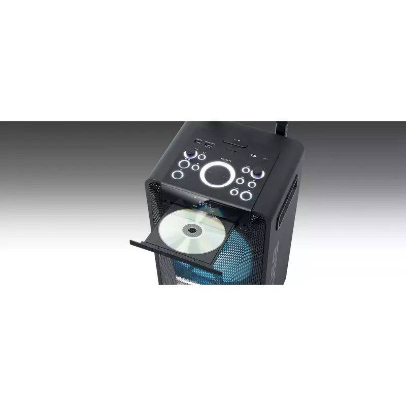 Nešiojamas garsiakalbis Muse M-1920 DJ — 300 W RMS, maitinamas kintamąja srove, 3,5 mm įvestis, 256×287×534 mm, 7 kg, juodas