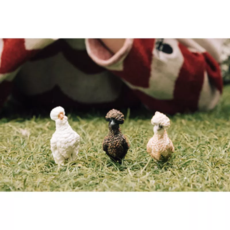 Žaislų figūrėlės Schleich FARM WORLD Chicken Friends Daugiaspalvė 42574